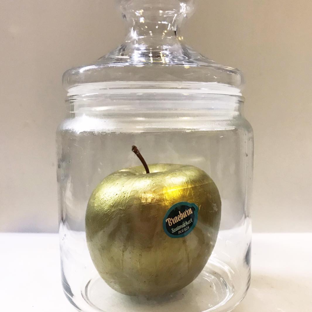 08_104176790_10158975734564467_5724792046369582578_n